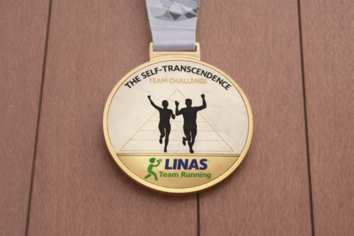 The Self-Transcendence Team Challenge (Early Bird)
